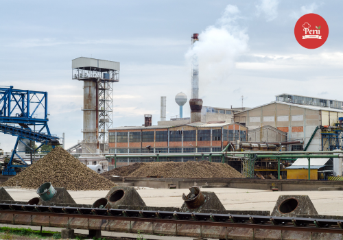 cómo se produce el azúcar de remolacha cómo se produce el azúcar de remolacha